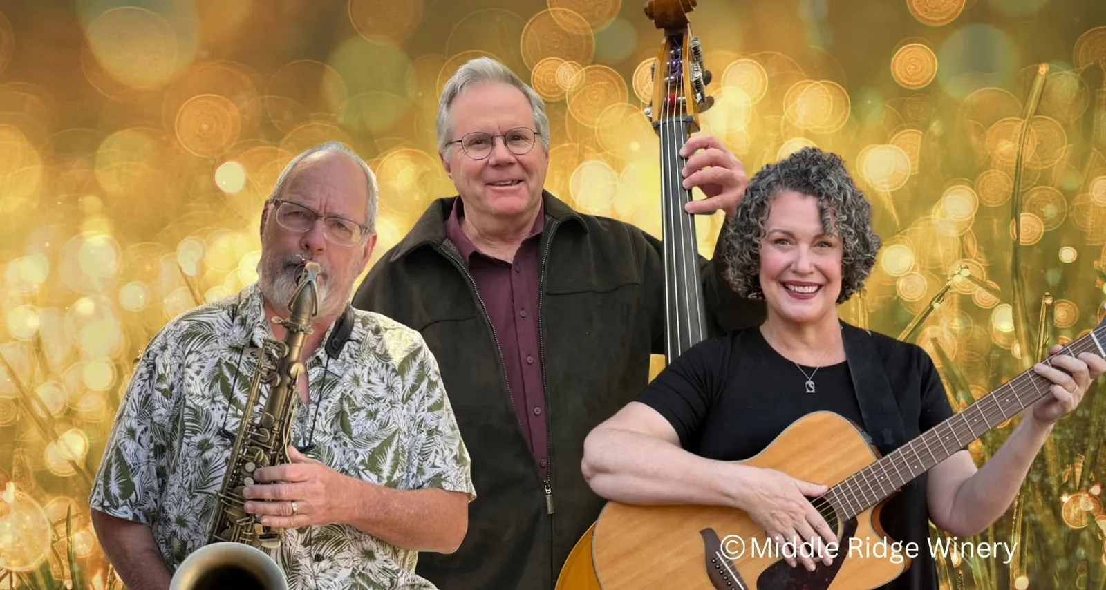 Jazz *Folk*Americana | The ArisTRIOcrats@ middleridge winery