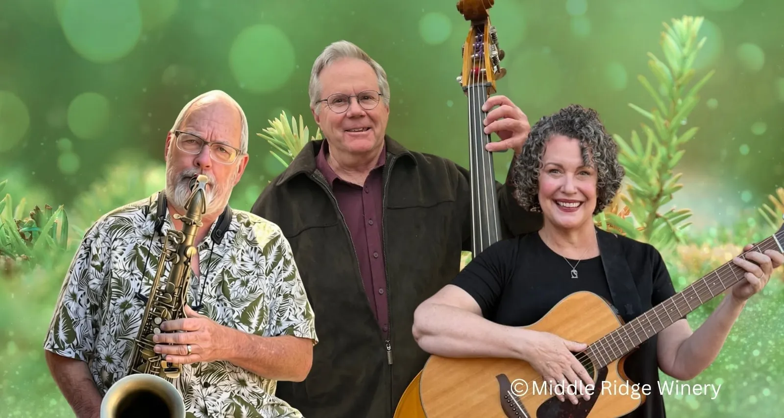Jazz*Folk*Americana | ArisTRIOcrats-@ middleridge winery