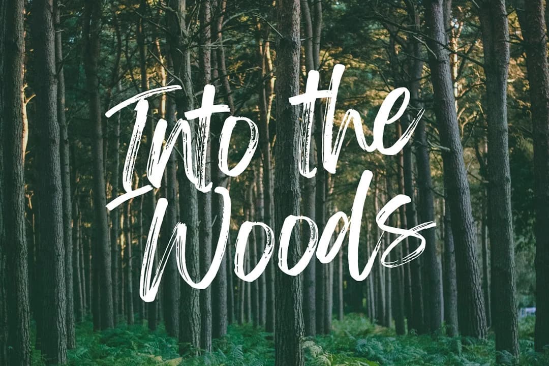 into the woods@ Bowman IAF Theater