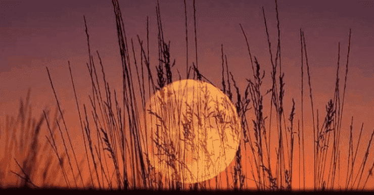 Harvest Full Moon Drum Circle by Spirit Mountain Retreat