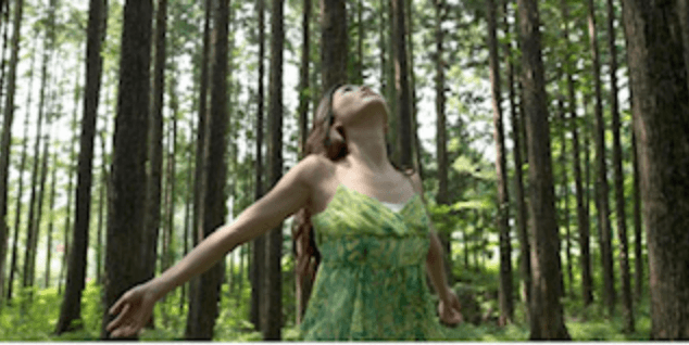 Forest Bathing Presentation at the Idyllwild Library