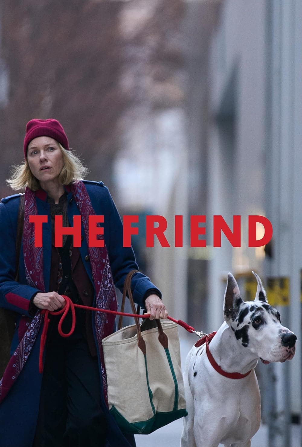movie: THE FRIEND@ rustic theatre