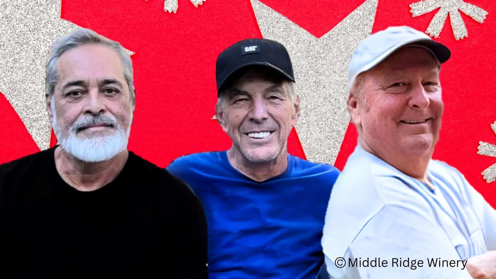 The Royal Pains | Classic Rock & Surf Tunes@ middleridge winery