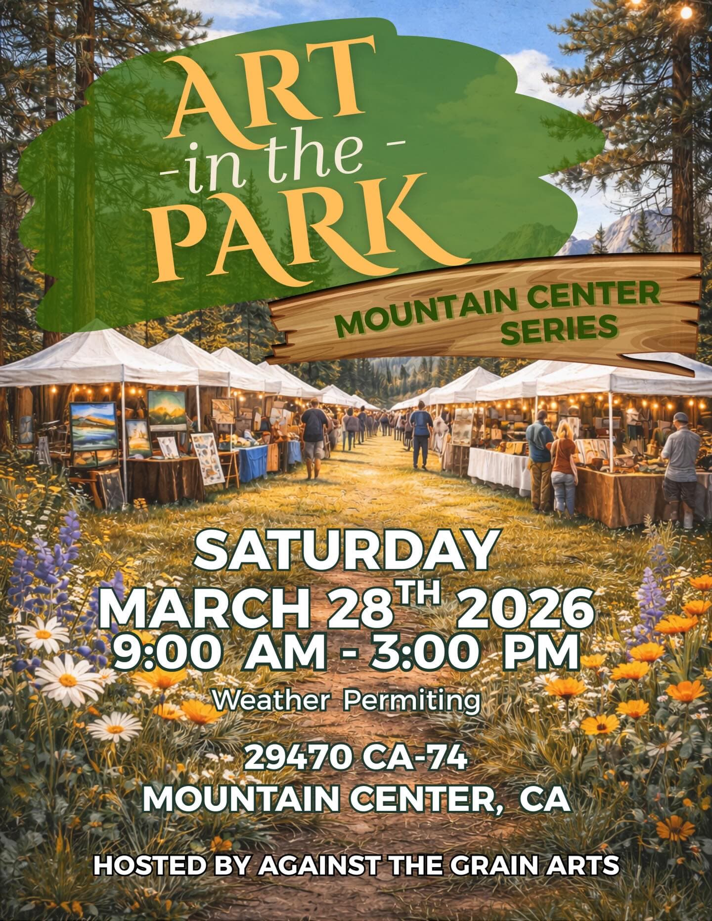 Art in the park mountain center series