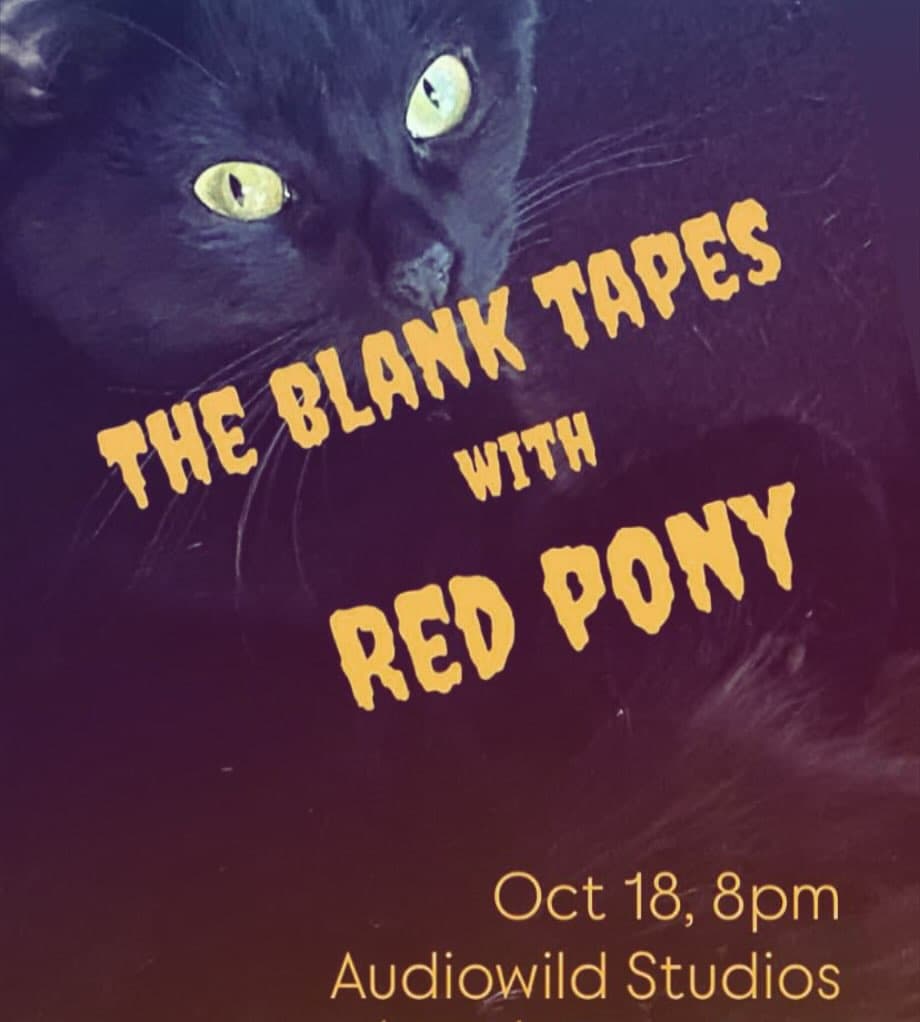 the blank tapes with red pony@ audiowild studios