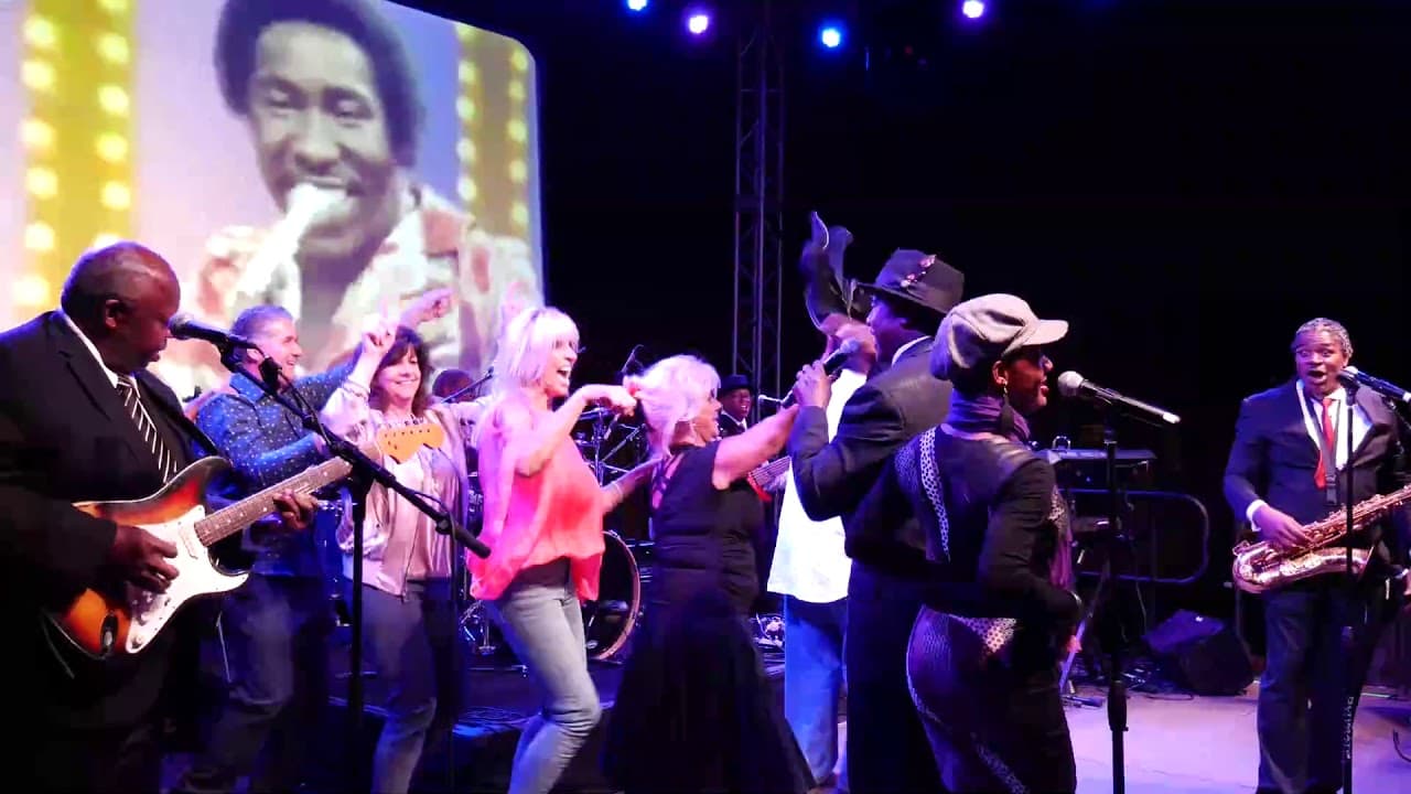 Summer Concert! "Blue Breeze Motown Band"