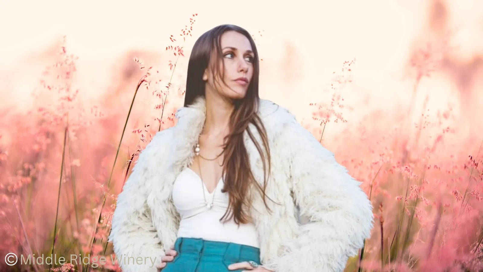 Country | Francesca Brown Band@ middleridge winery