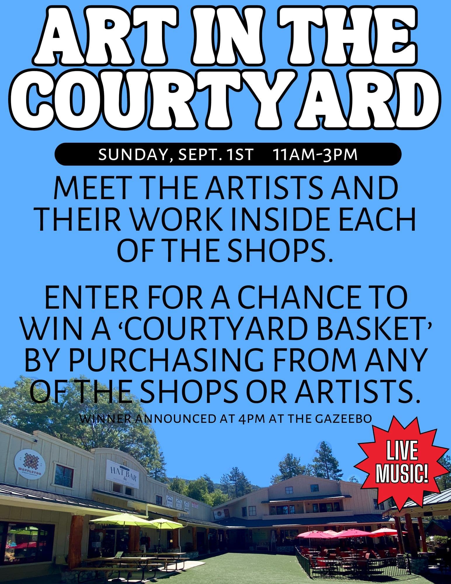LOCAL ARTISTS & MUSIC
