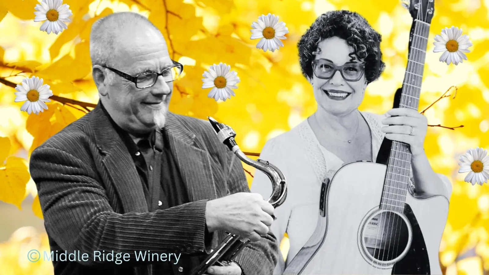 Jazz * Folk * Americana | The Aristocrats@ middleridge winery
