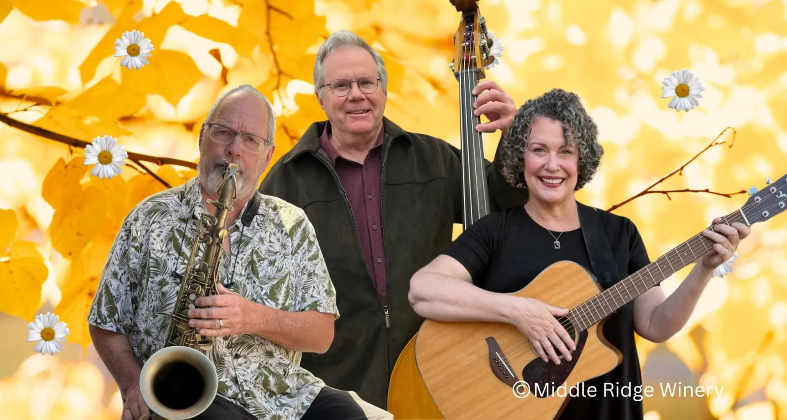 Jazz *Folk*Americana | The ArisTRIOcrats@ middleridge winery