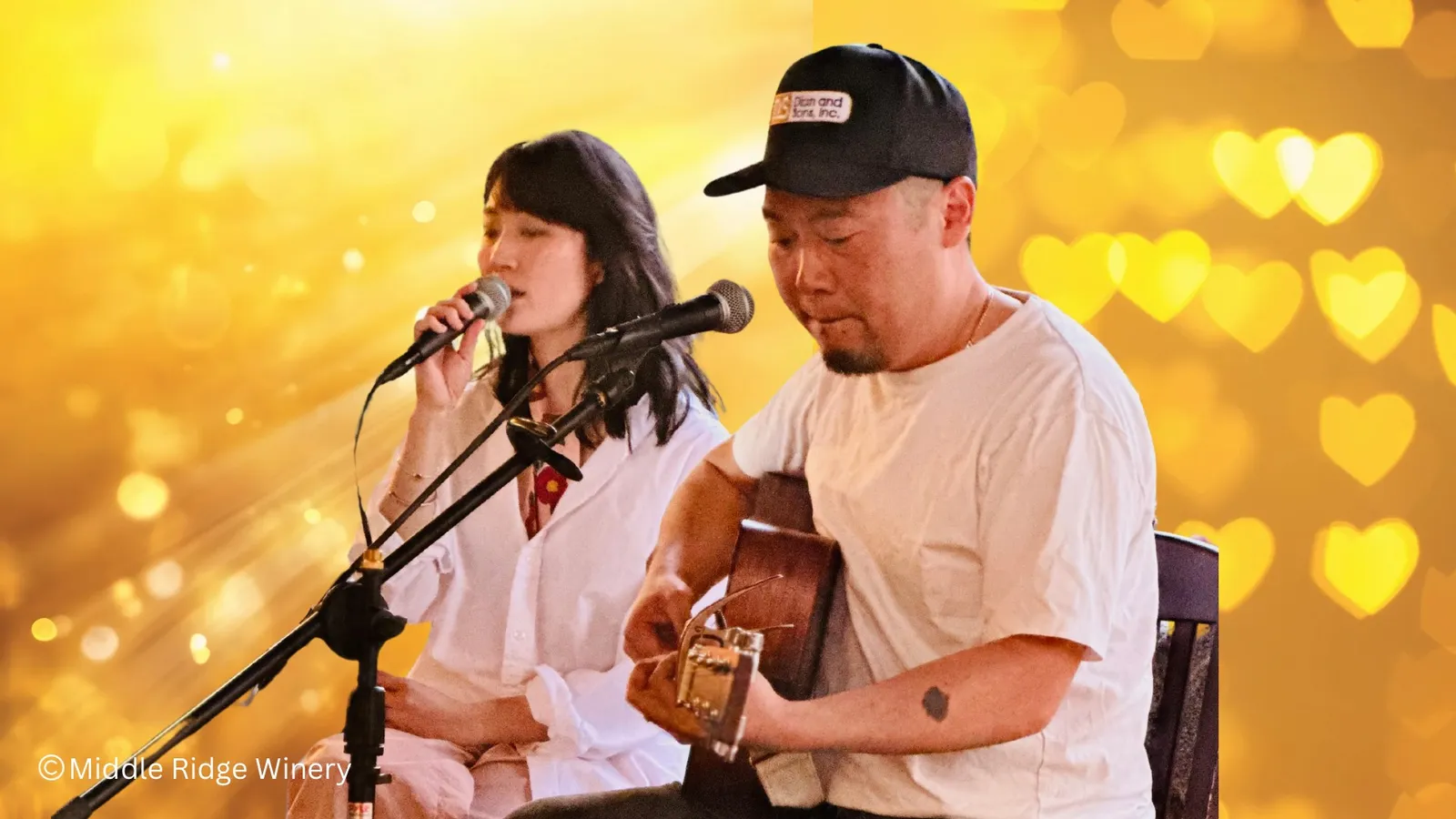 Pop & Rock | Vincent's Choice@ middleridge winery