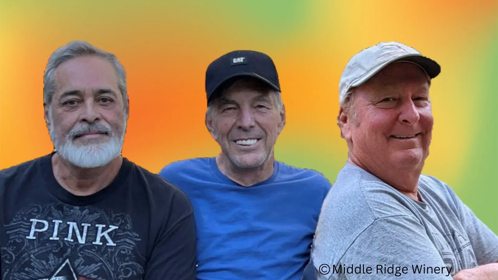 Classic Rock & Surf Tunes | The Royal Pains@ middleridge winery