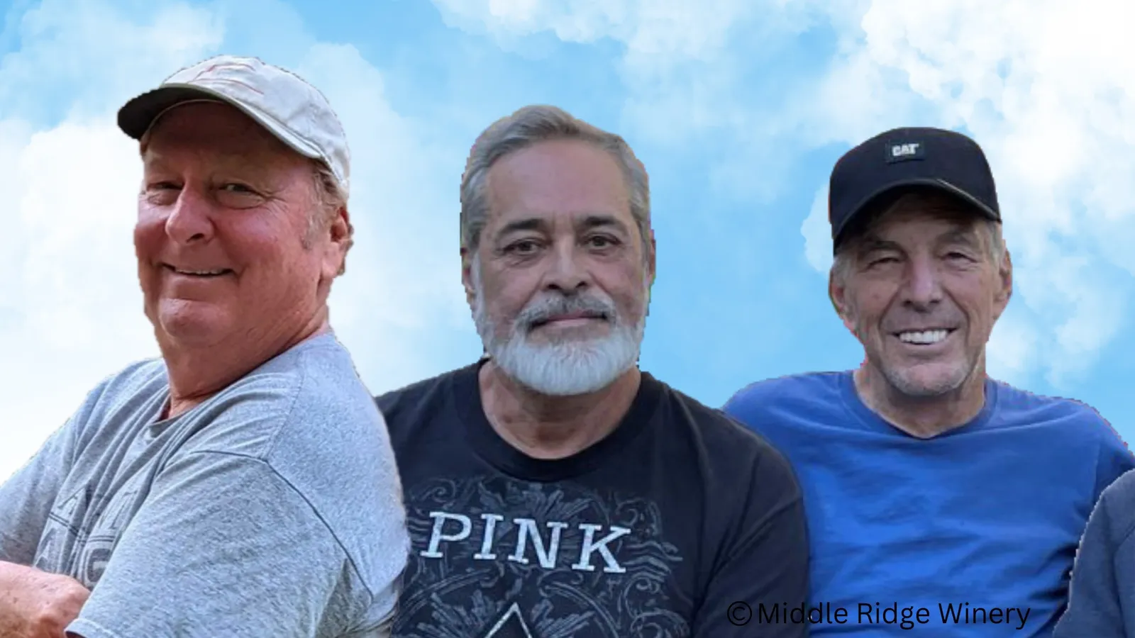 The Royal Pains | Classic Rock & Surf Tunes@ middleridge winery