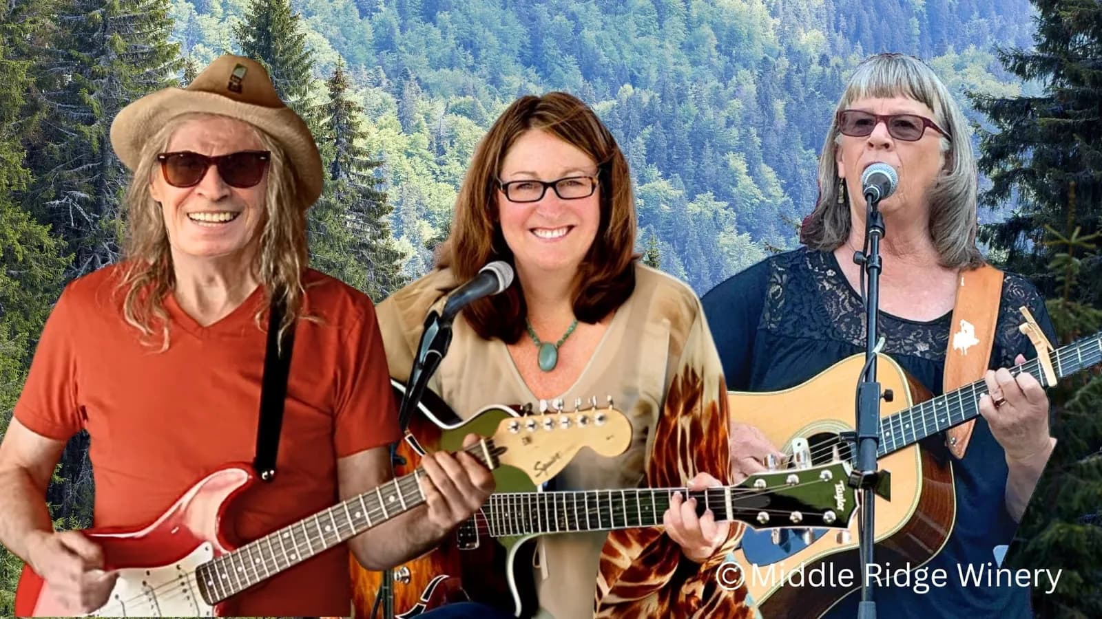Sandii and Friends Trio | Home for the Holidays@ middleridge winery