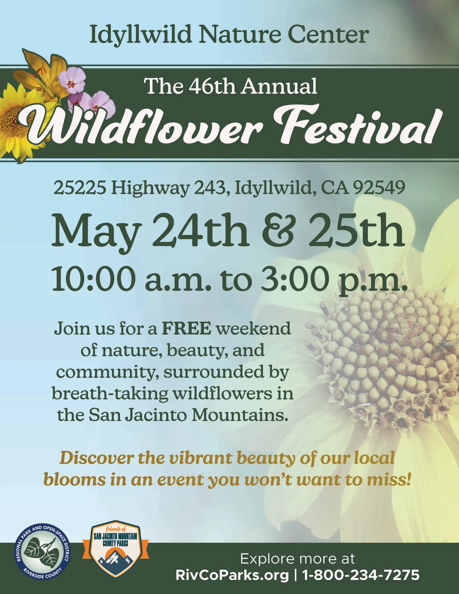 wildflower festival@ nature center