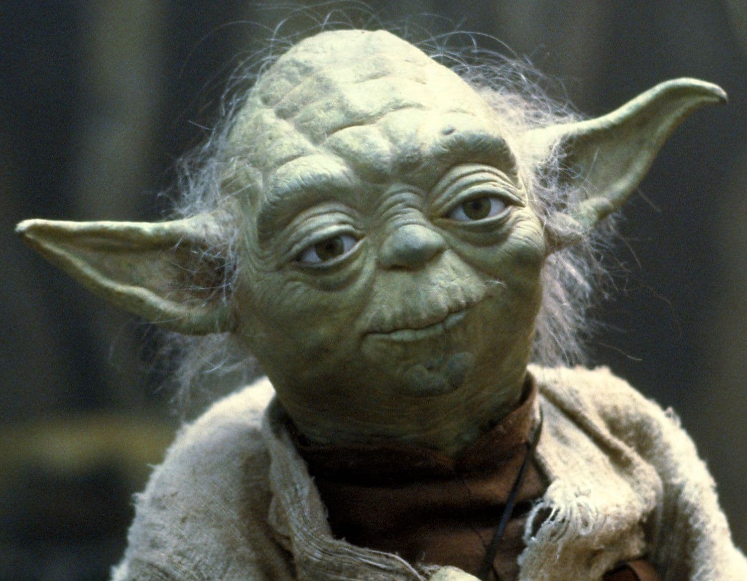 MAY THE FOURTH BE WITH YOU@ rustic theatre